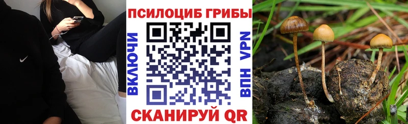 Галлюциногенные грибы GOLDEN TEACHER  Горячеводский 